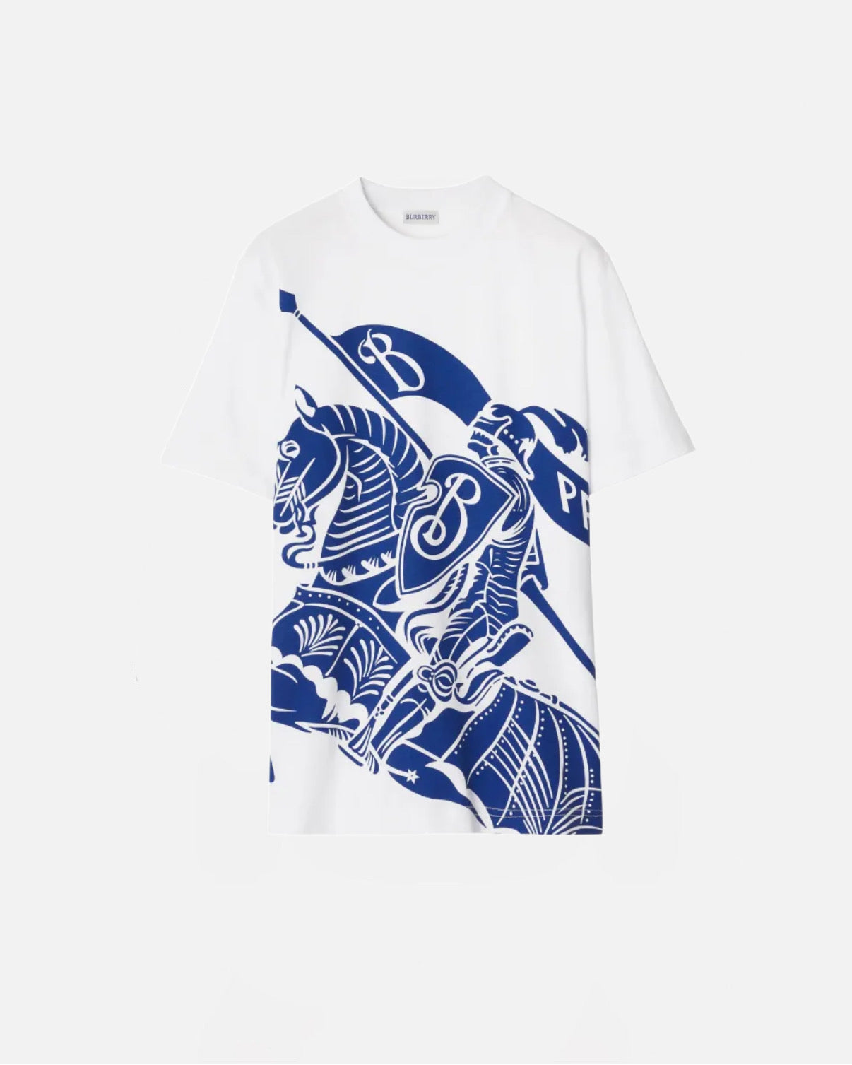 T-shirt de luxe - bleu/blanc